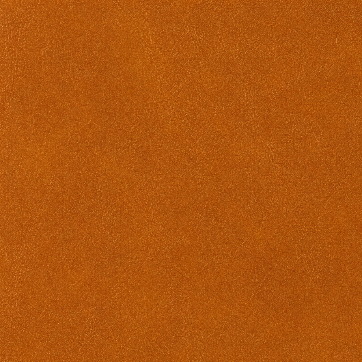 Montgomery Weekender